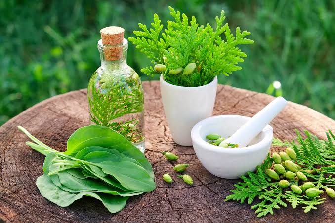 JFC Munene College to Host 1st International HerboMed Conference in March 2027